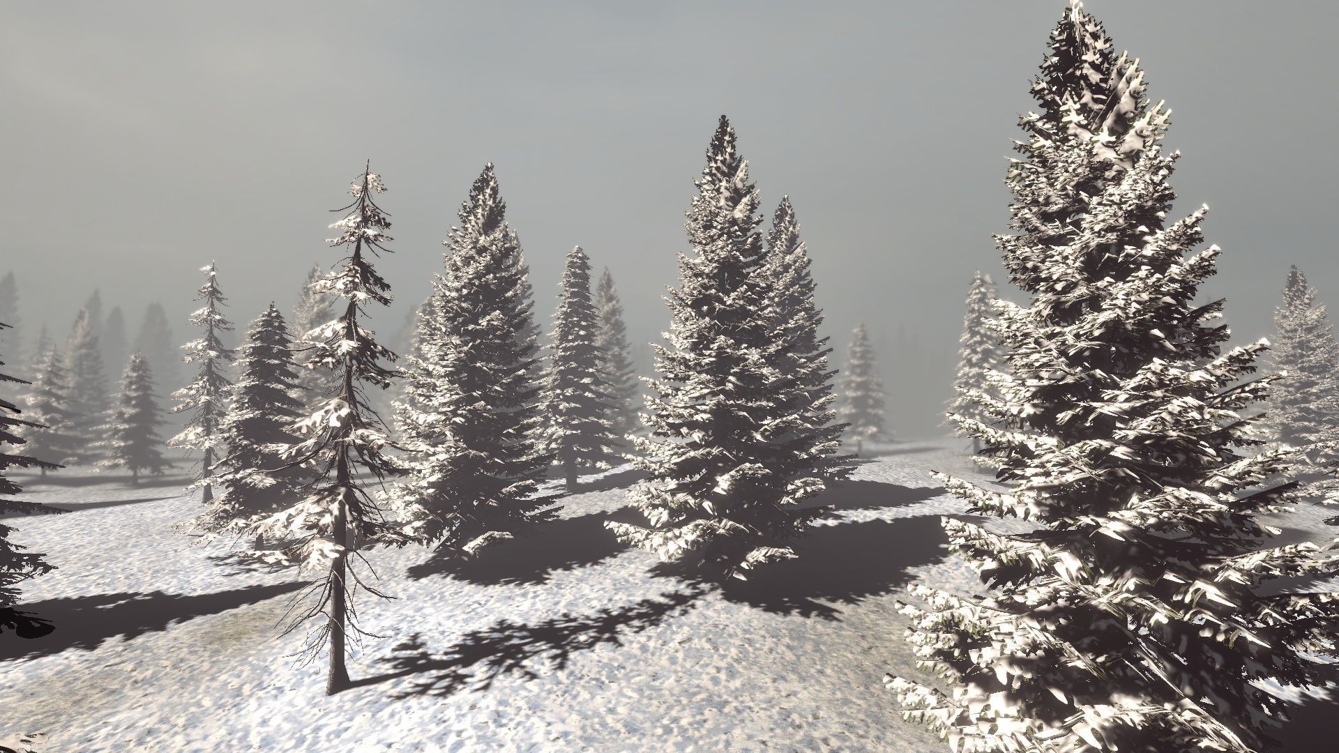 Conifers Vol 1 - Spruces Low-poly 3D model_11