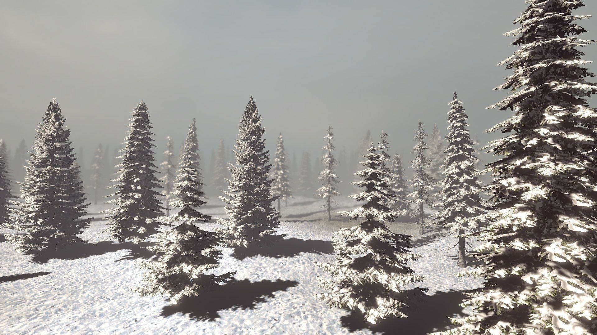 Conifers Vol 1 - Spruces Low-poly 3D model_14