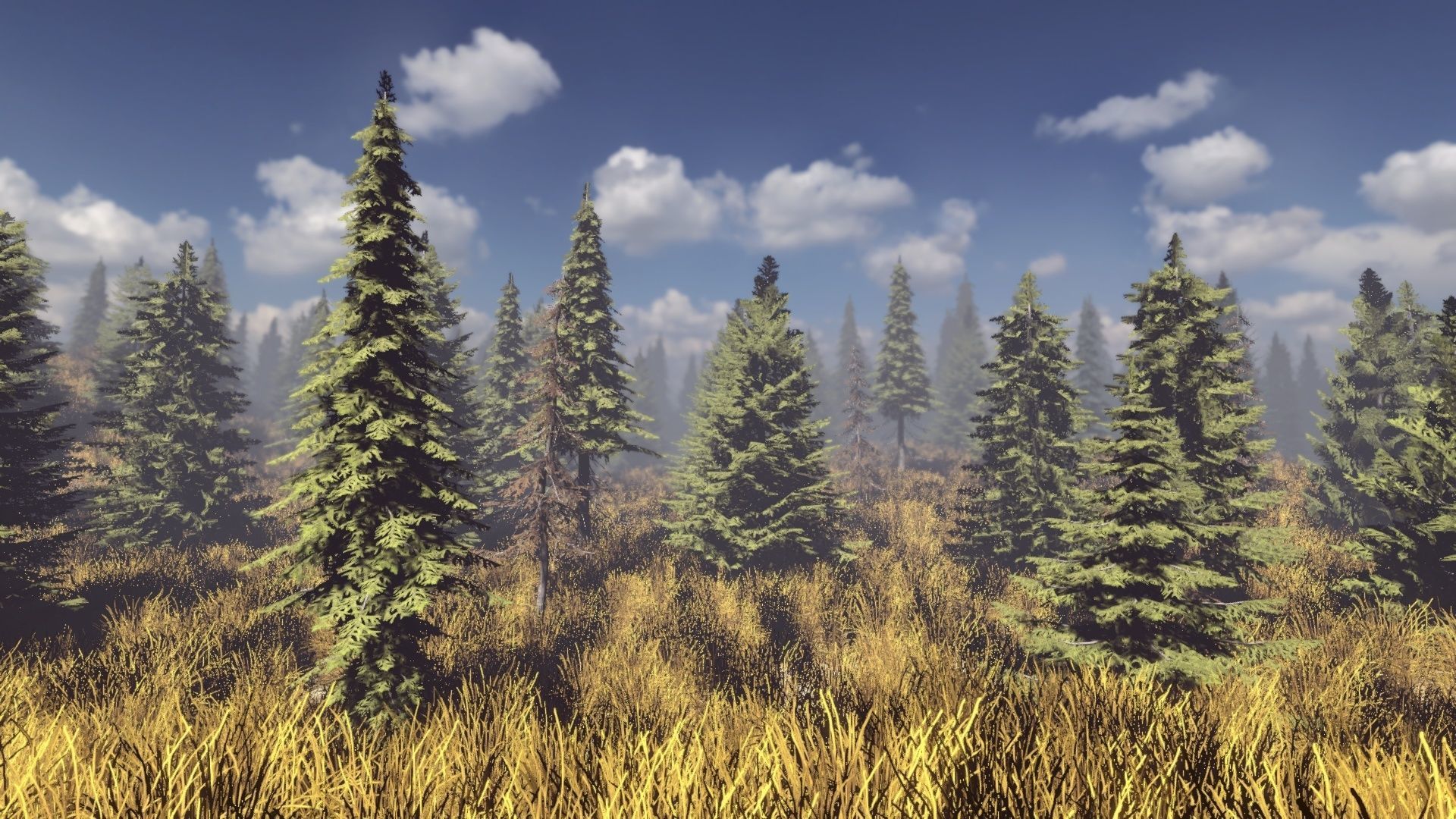 Conifers Vol 1 - Spruces Low-poly 3D model_3