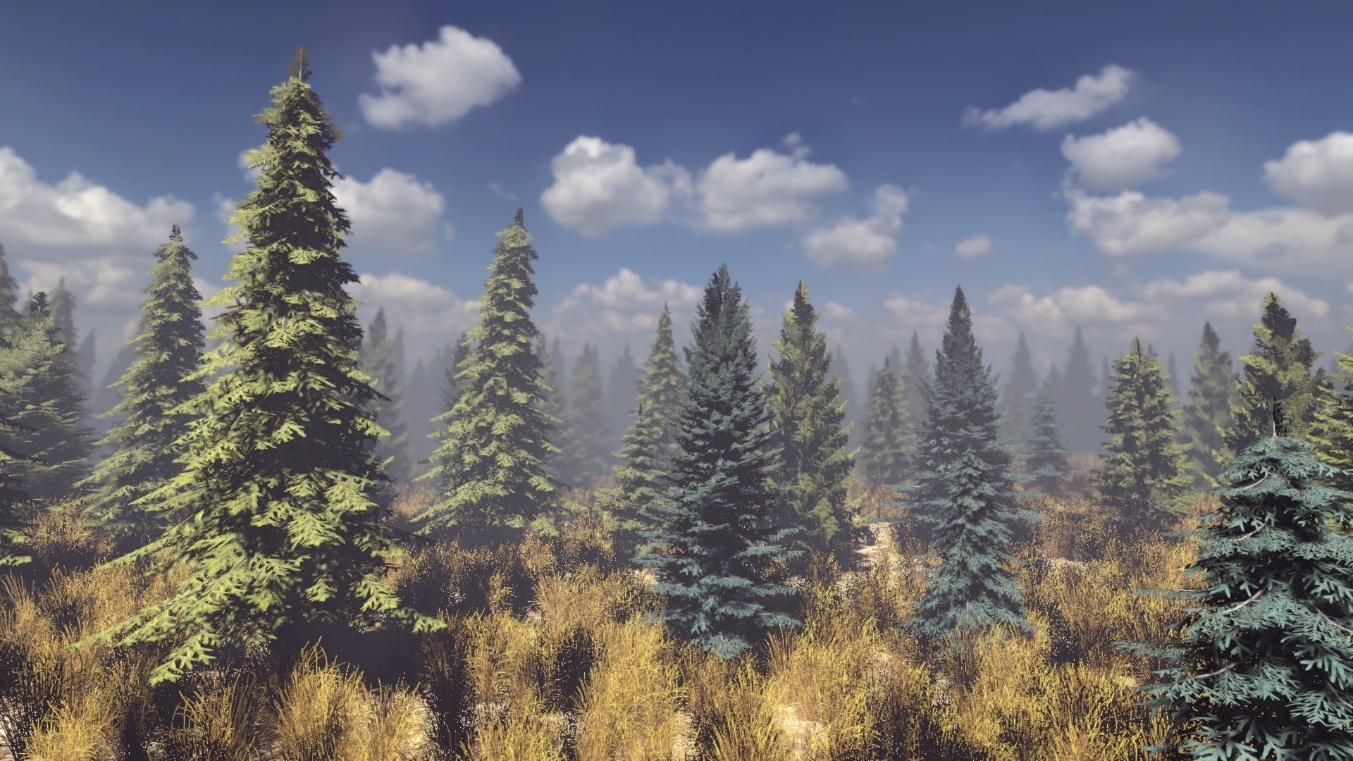 Conifers Vol 1 - Spruces Low-poly 3D model_5