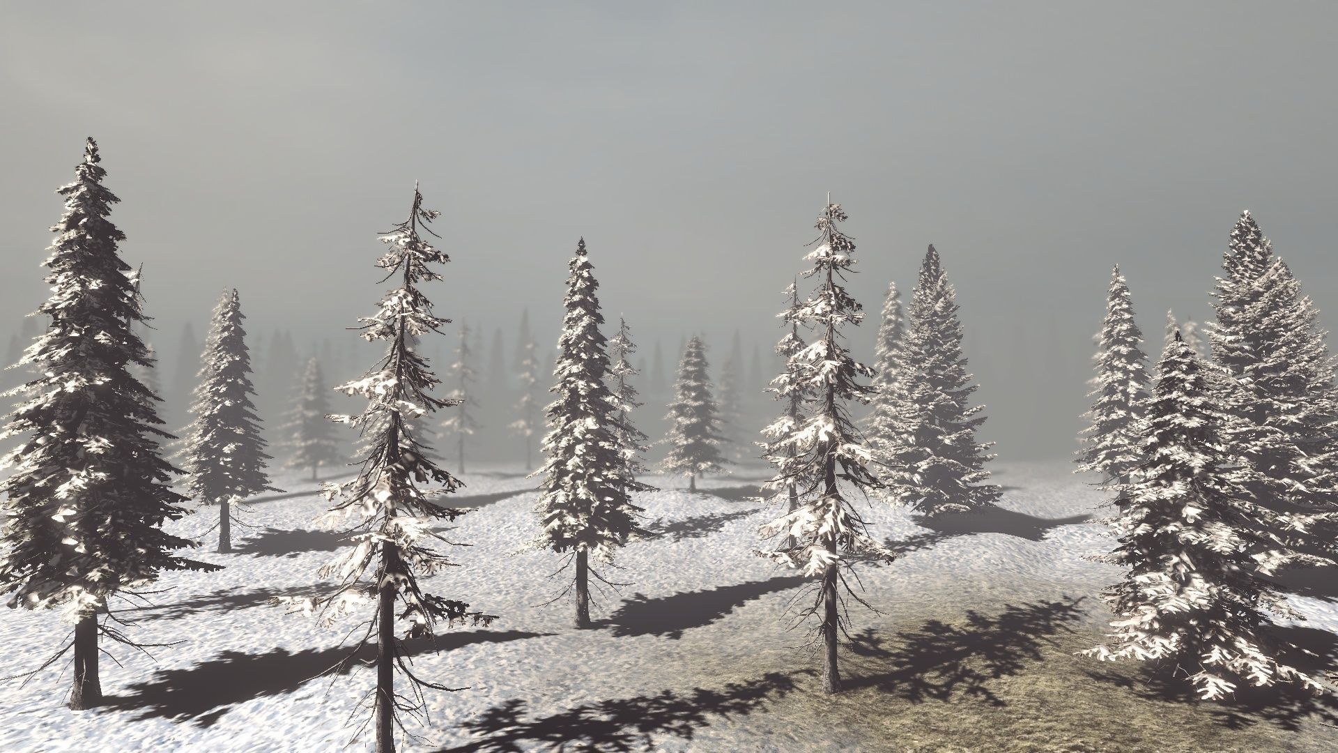Conifers Vol 1 - Spruces Low-poly 3D model_15