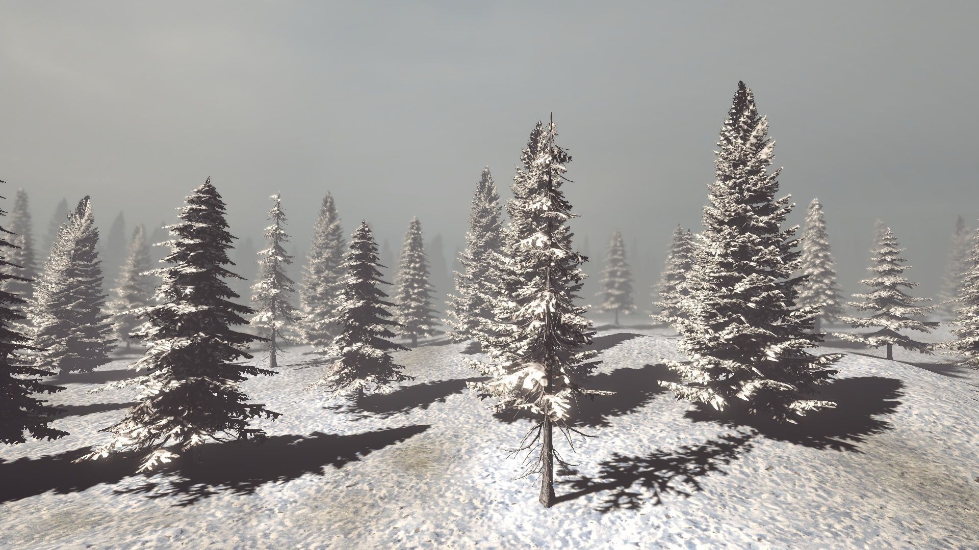 Conifers Vol 1 - Spruces Low-poly 3D model_10