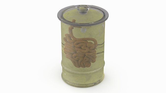 Human Small Intestine in Old Glass Jar 3D model 7