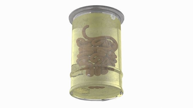 Human Small Intestine in Old Glass Jar 3D model 5