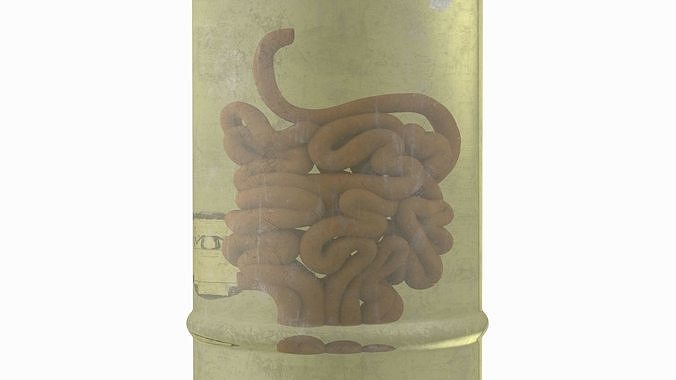 Human Small Intestine in Old Glass Jar 3D model 6