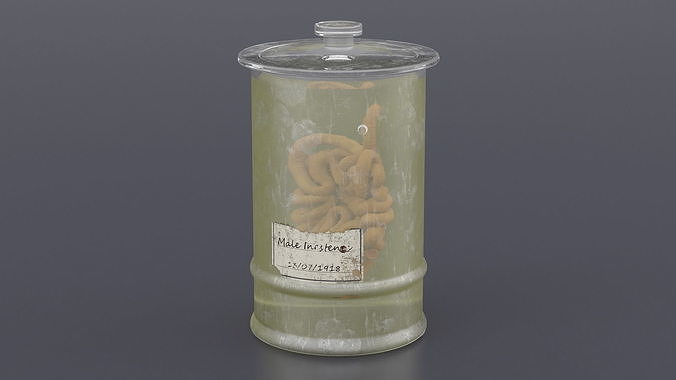 Human Small Intestine in Old Glass Jar 3D model 3