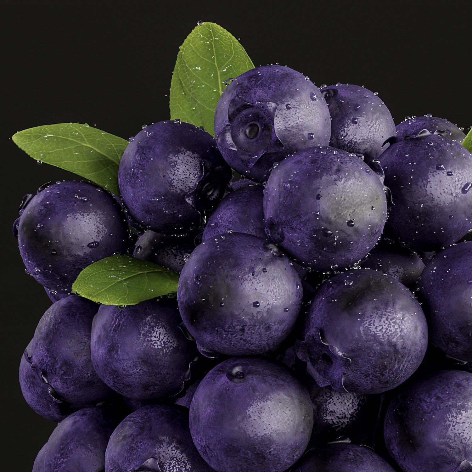 blue berry 3D model_1