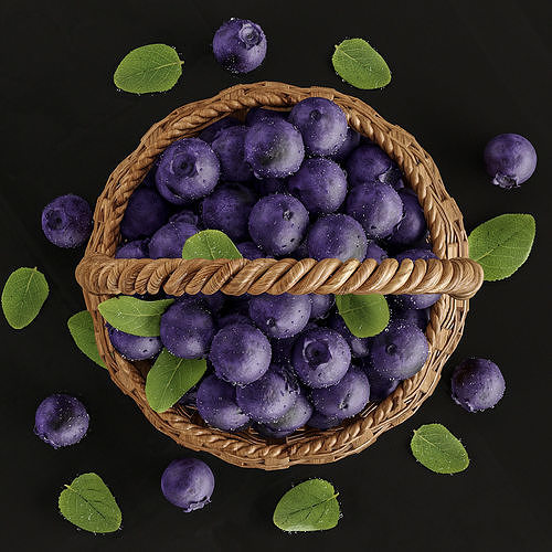 blue berry 3D model 3