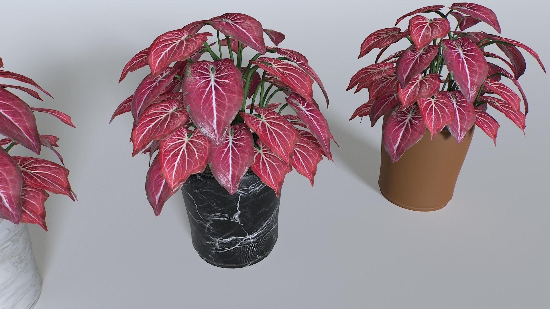 Pot Tropical Plant Pack 4 Low-poly 3D model_3