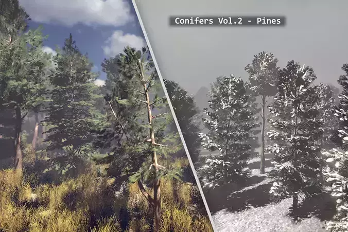 Conifers Vol 2 - Pines