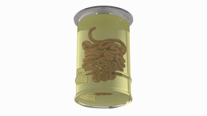 Human Small Intestine in Glass Jar 3D model 6