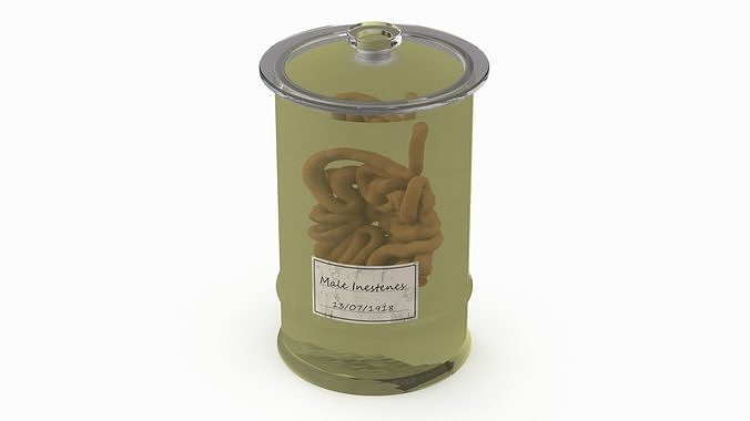 Human Small Intestine in Glass Jar 3D model 5
