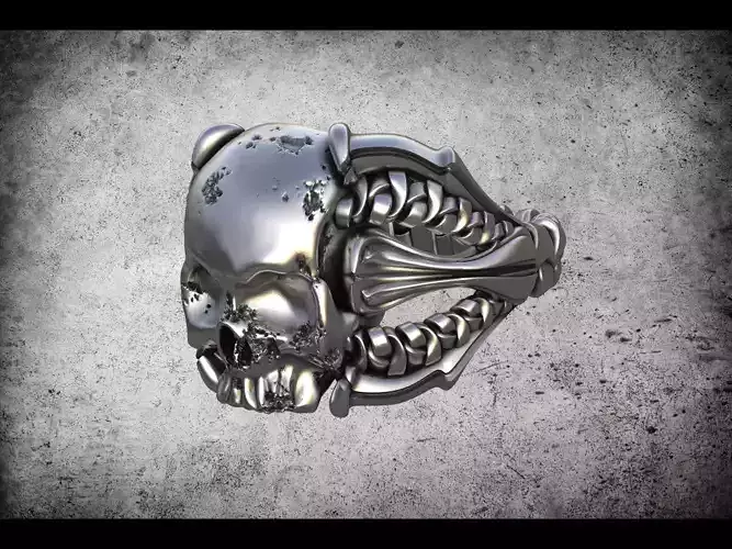 Rope-Skull-ring