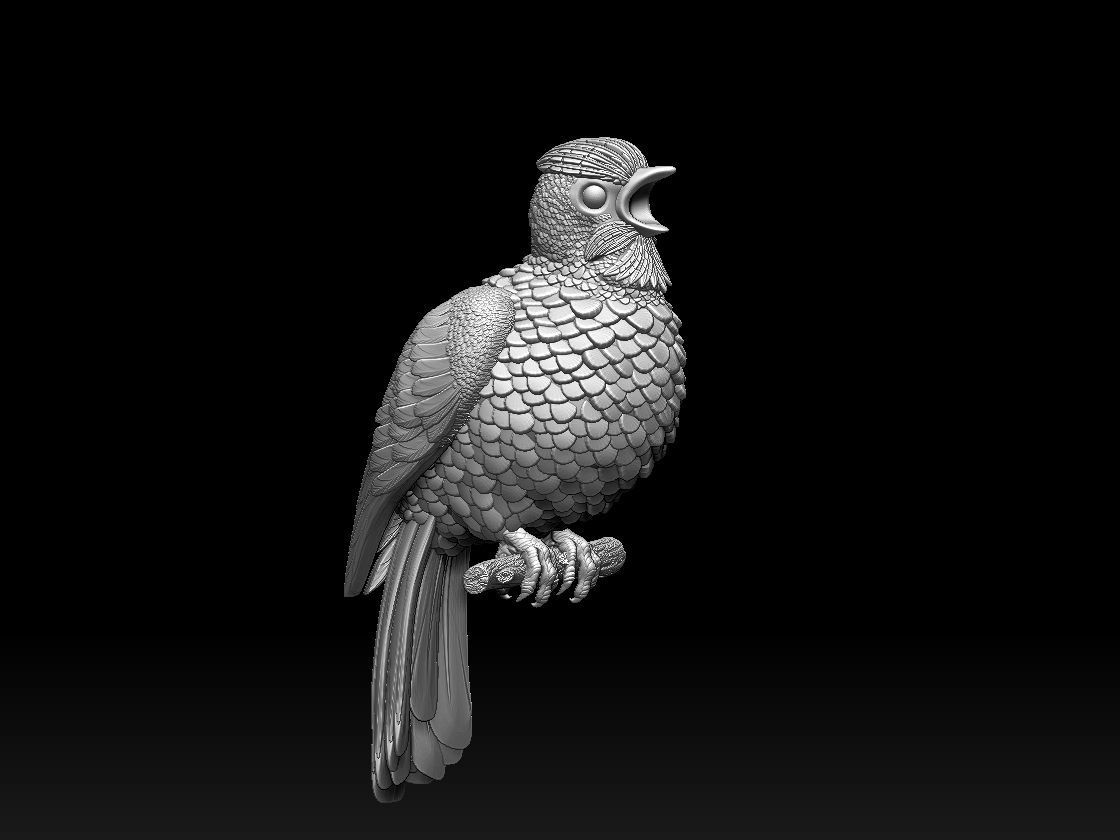 Bird on a branch 3D print model_38