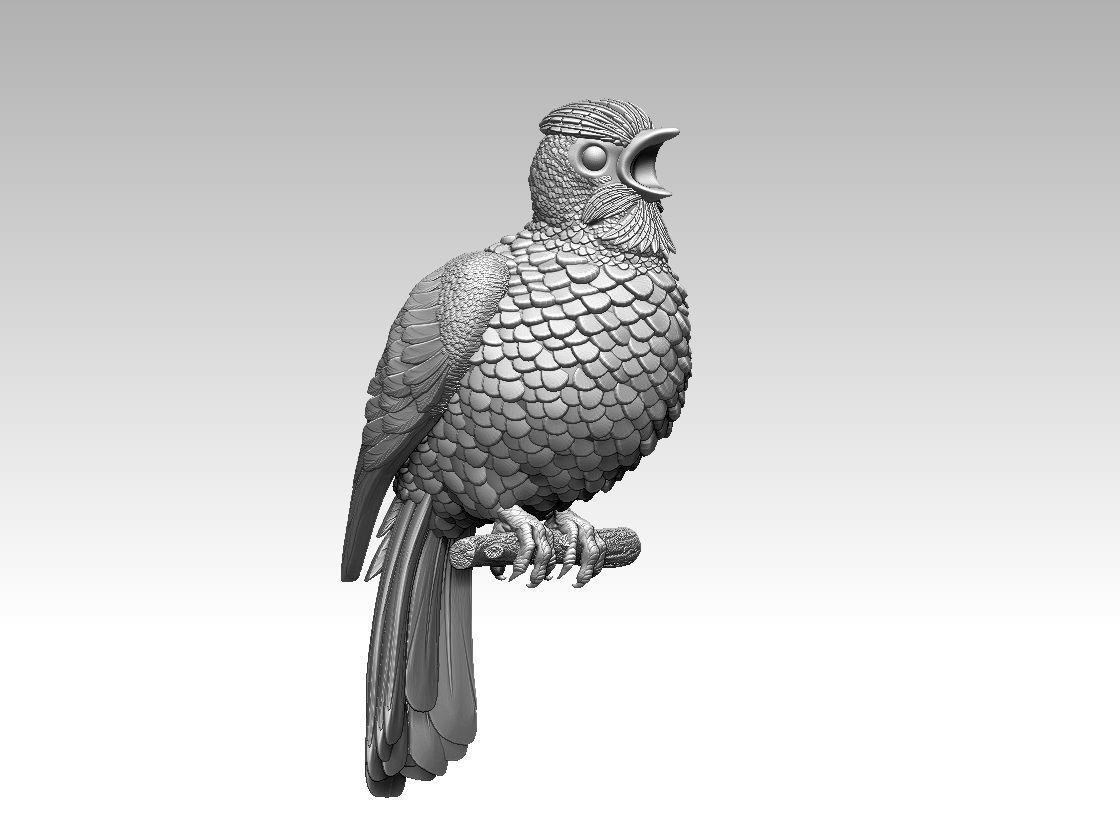 Bird on a branch 3D print model_18