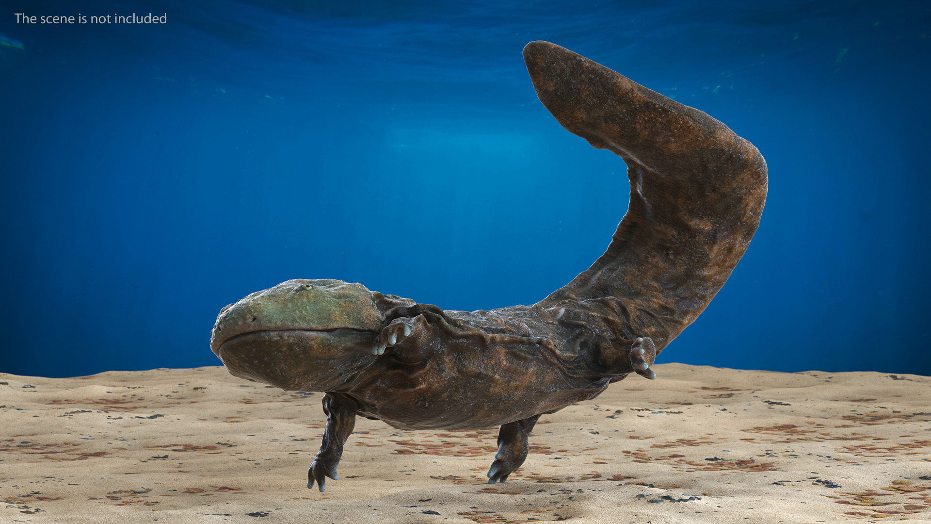 Aquatic Salamander Light Wet Rigged for Cinema 4D 3D model
