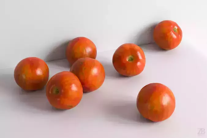 Tomato 3D model