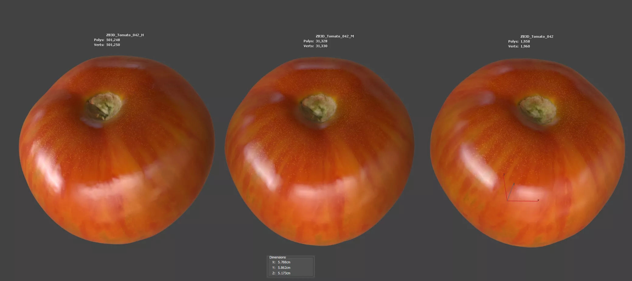 Tomato 3D model_5