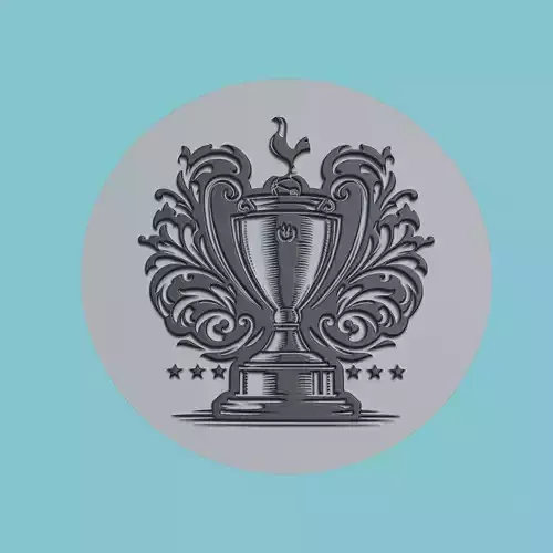 Tottenham Hotspur Medallion Football