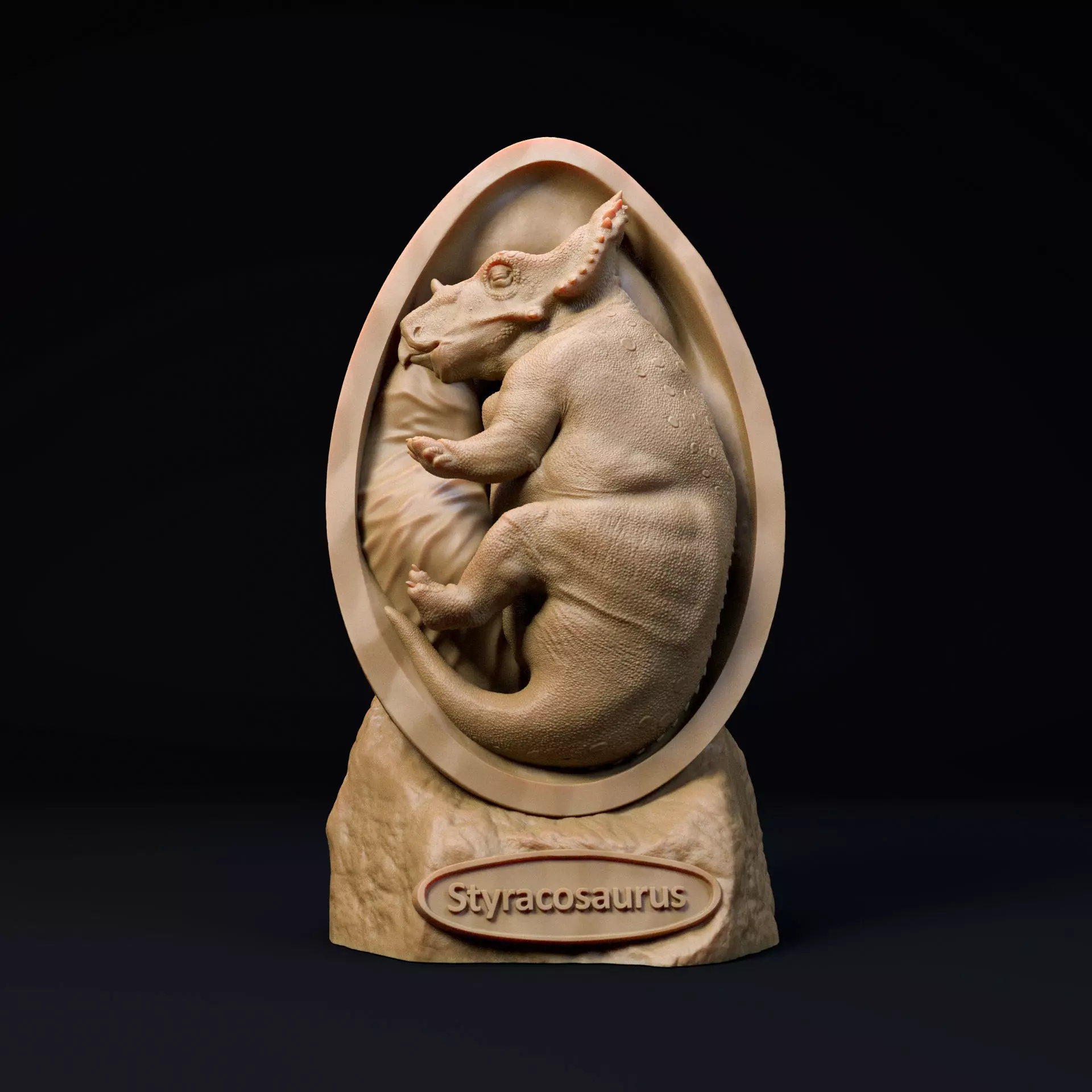 Styracosaurus embryo - dinosaur baby 3D print model_0