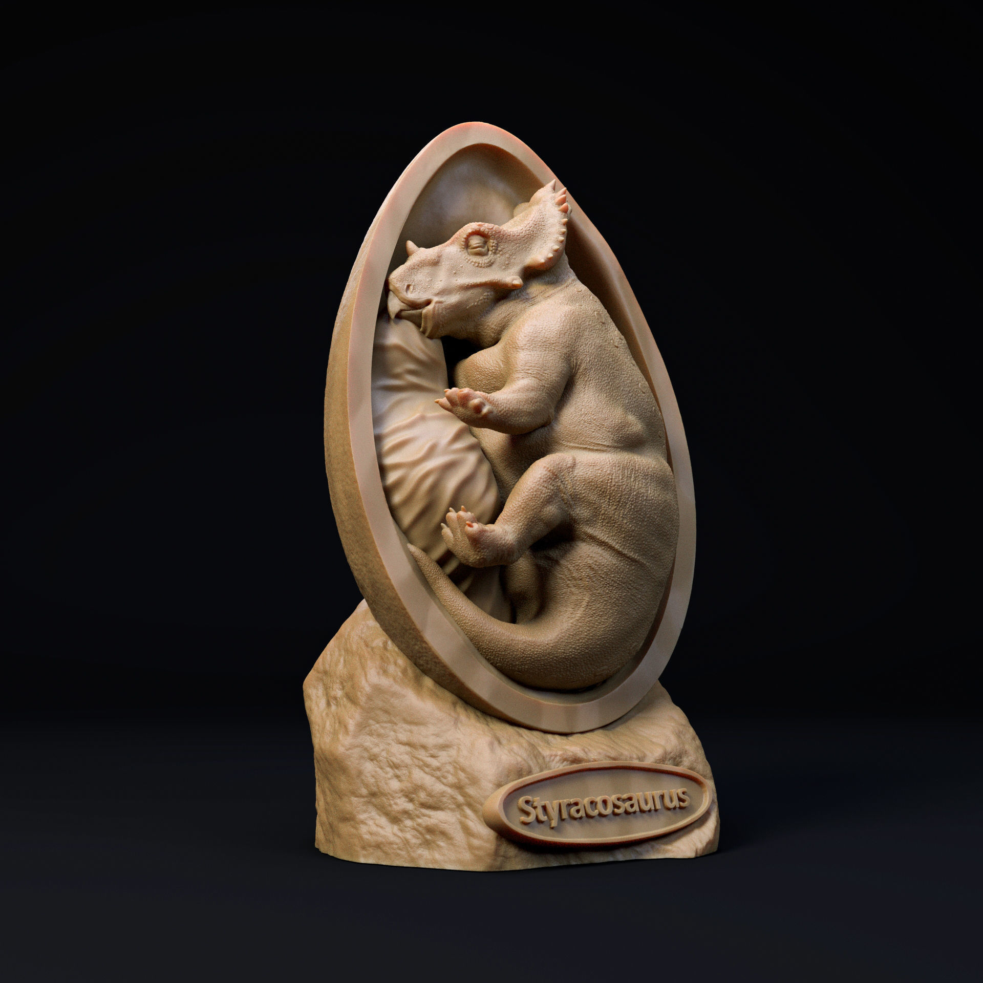 Styracosaurus embryo - dinosaur baby 3D print model_1