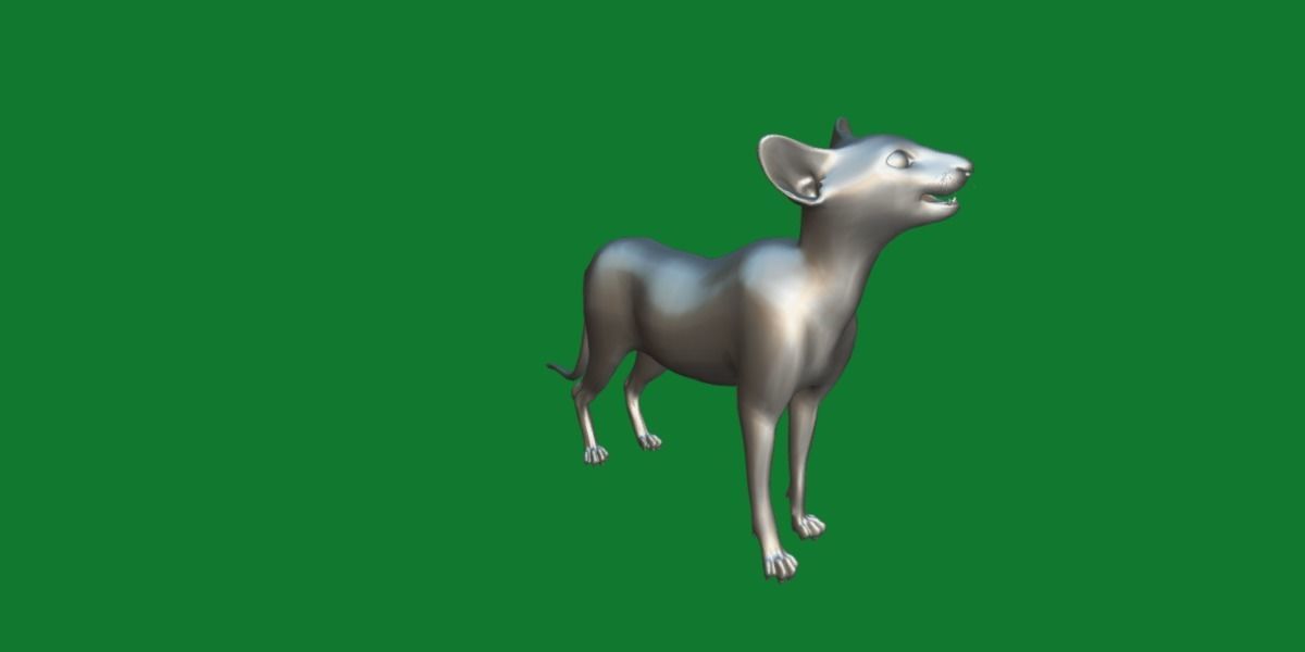 Peterbald Oriental Cat Low-poly 3D model_19