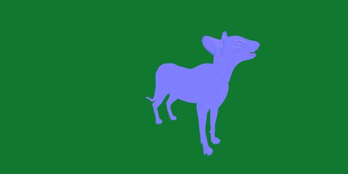 Peterbald Oriental Cat Low-poly 3D model_36