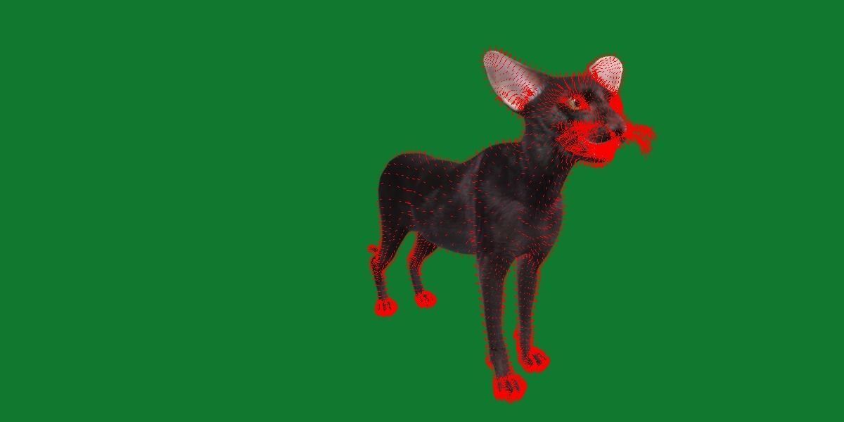 Peterbald Oriental Cat Low-poly 3D model_23