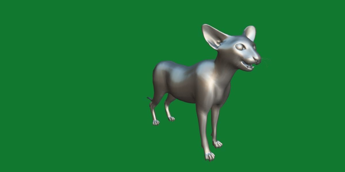 Peterbald Oriental Cat Low-poly 3D model_20