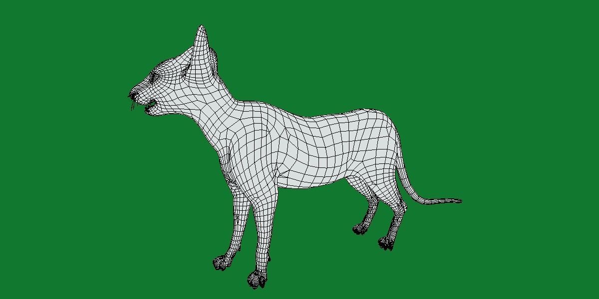 Peterbald Oriental Cat Low-poly 3D model_22