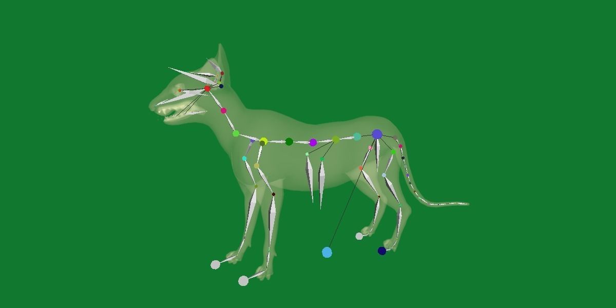 Peterbald Oriental Cat Low-poly 3D model_31