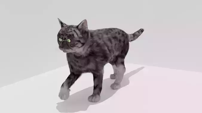 Grey Cat Animated Grace 3D model made in blender high quality  Low-poly 3D model