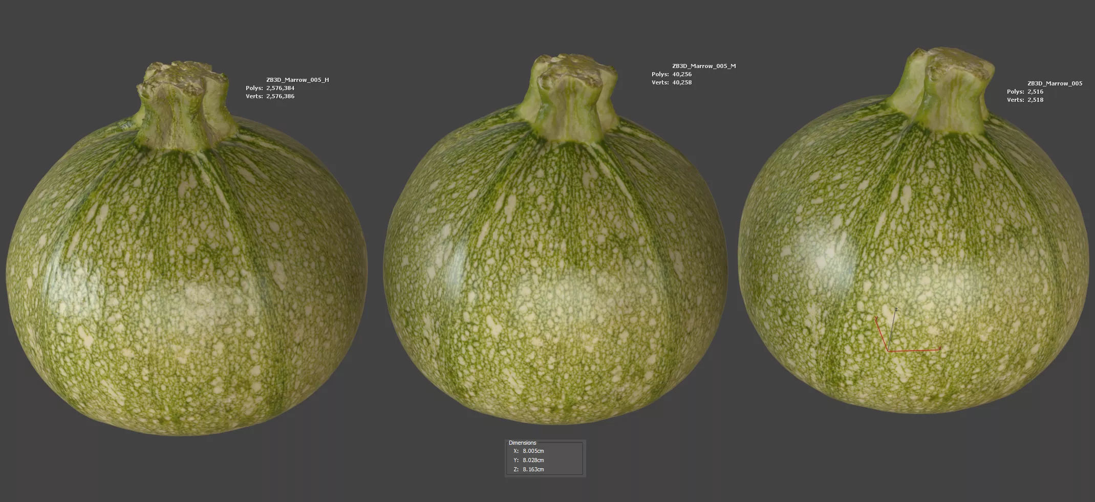 Marrow 3D model_5