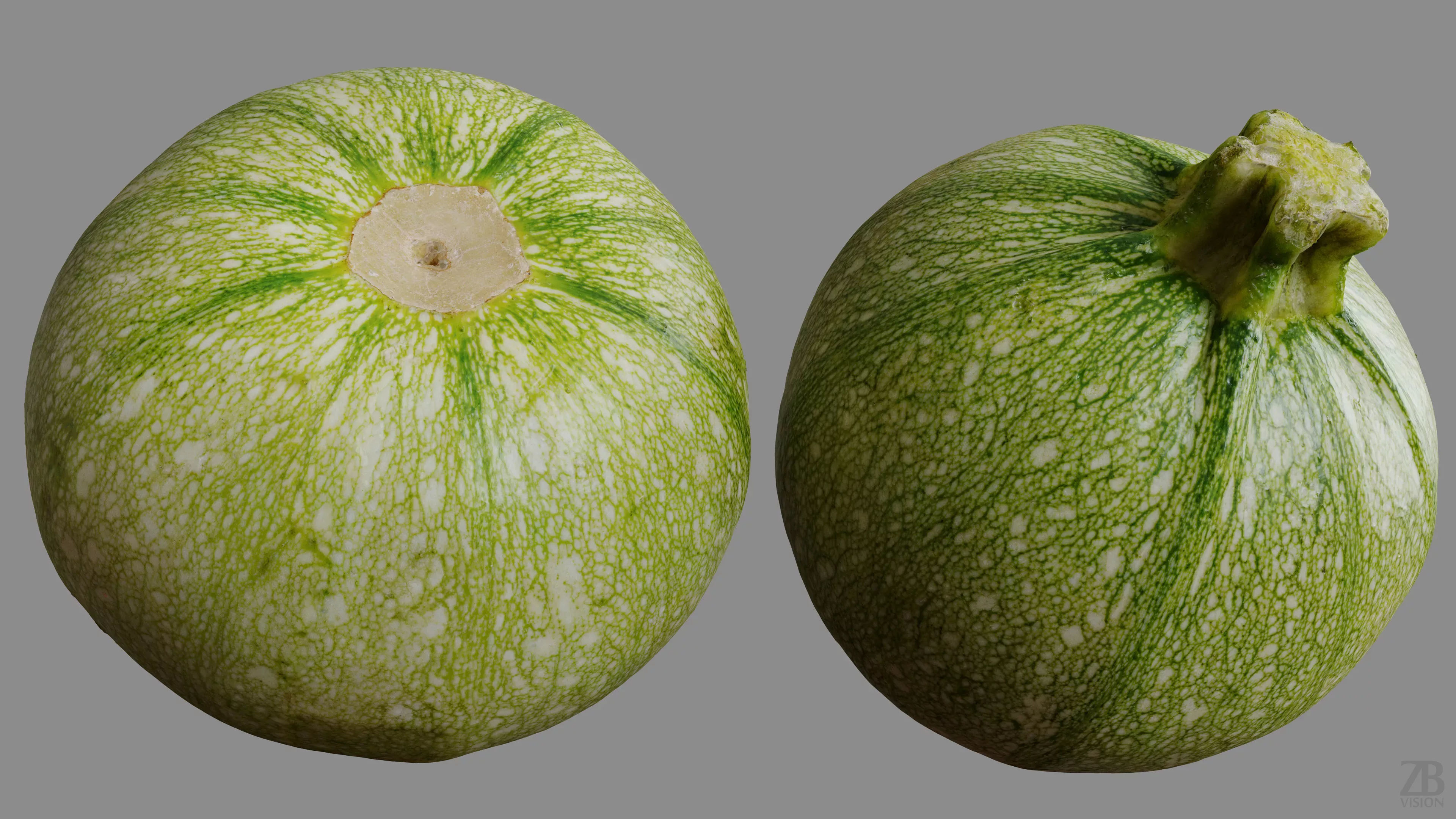 Marrow 3D model_9