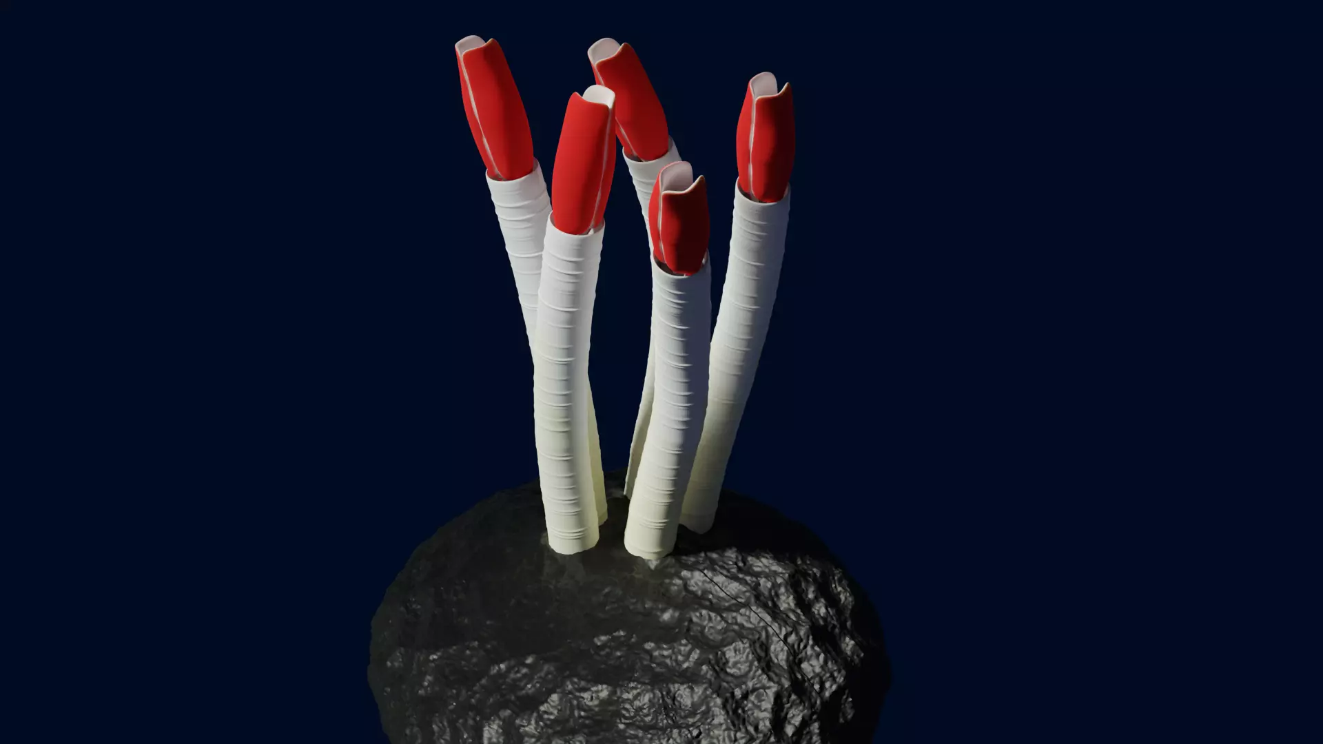 Tube Worm Riftia Deep Sea 3D model_0