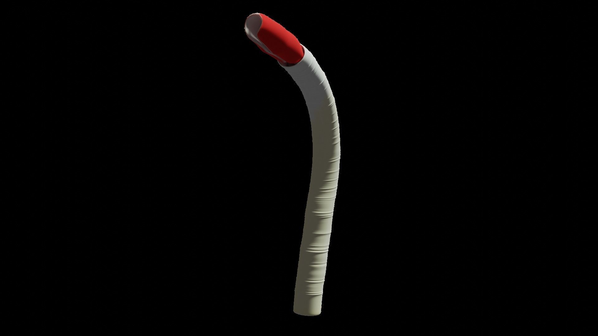 Tube Worm Riftia Deep Sea 3D model_7