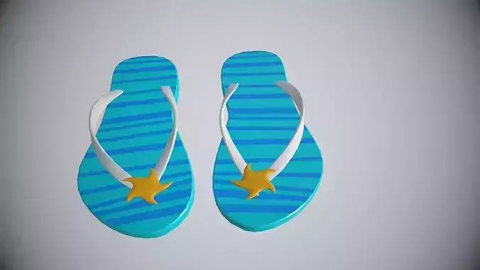 Slippers  or Flip flops