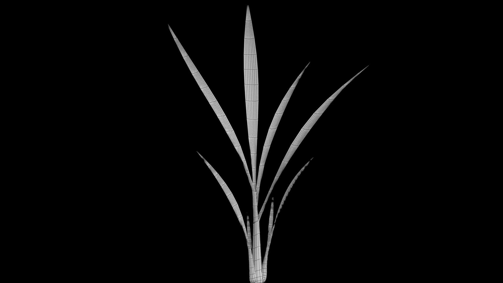 PADDY PLANT FINAL MODEL Low-poly 3D model_4