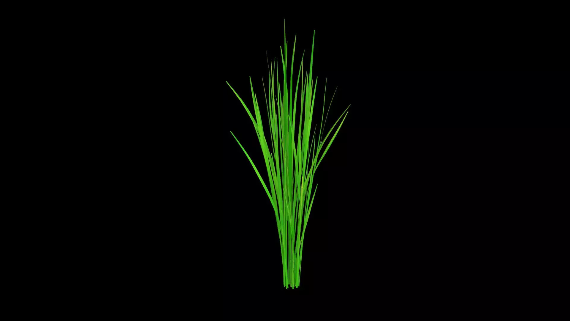 PADDY DUST Low-poly 3D model