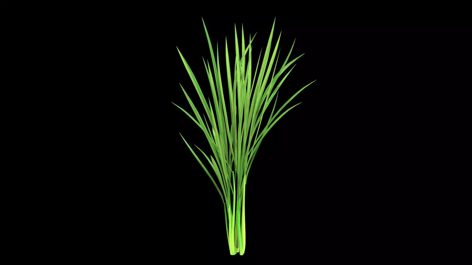 PADDY DUST Low-poly 3D model