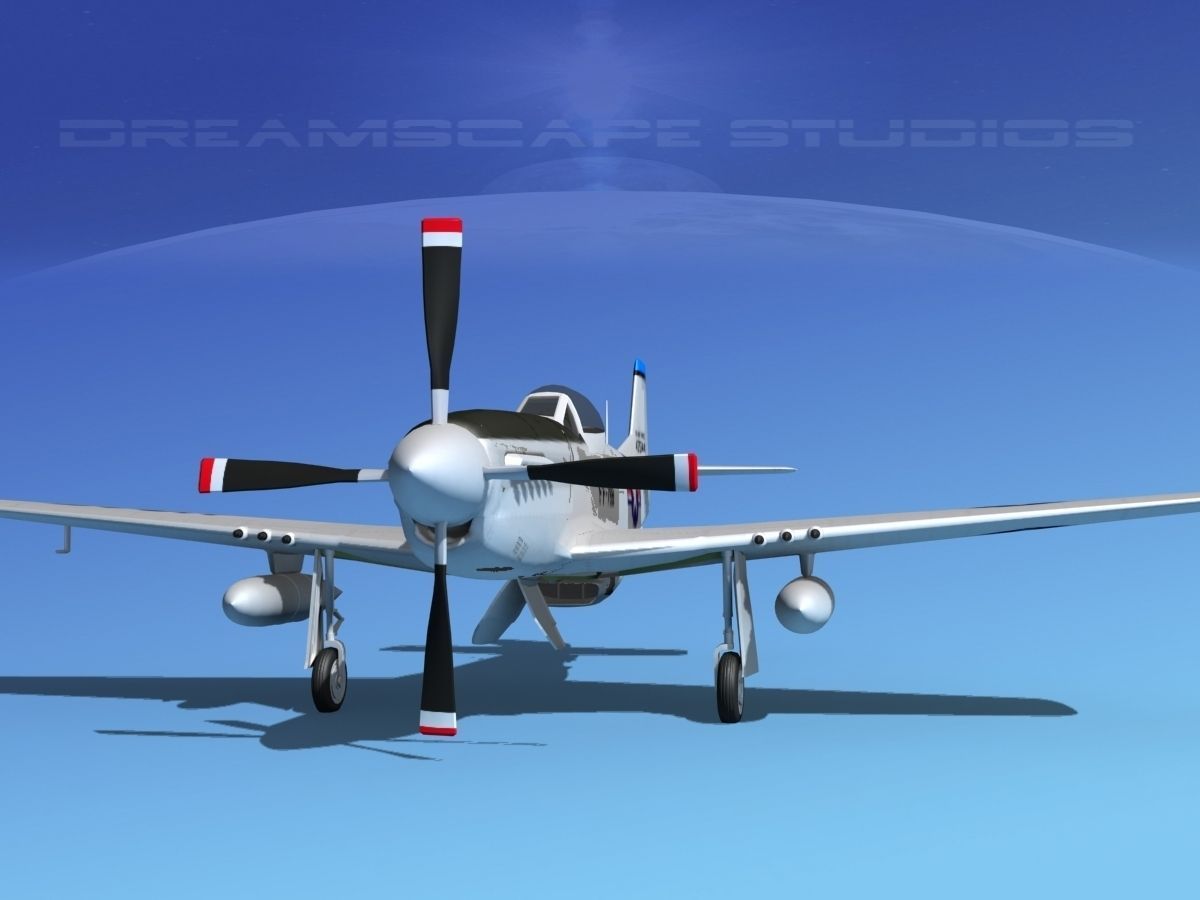 F-51D Mustang USAF 2 3D model_1