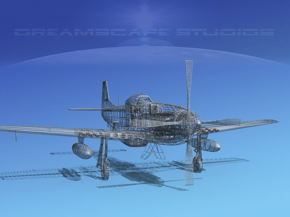 F-51D Mustang USAF 2 3D model_15