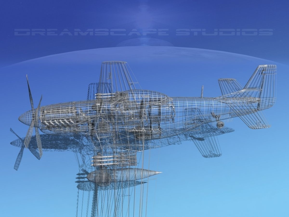 F-51D Mustang USAF 2 3D model_19