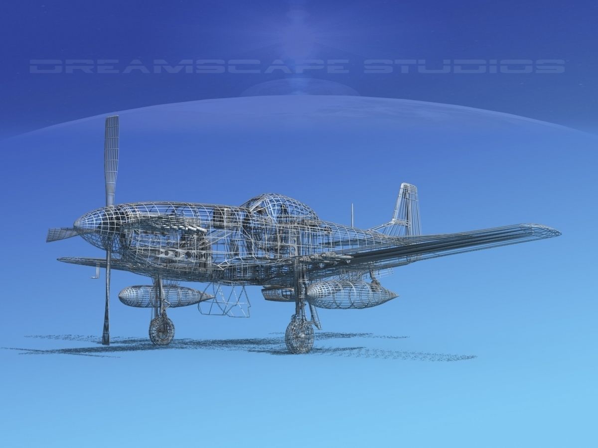 F-51D Mustang USAF 2 3D model_14