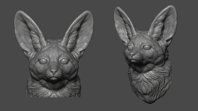 Fennec fox head 3D print model