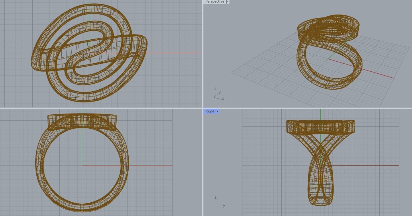 R 201 b Spiral ring  3D print model_11