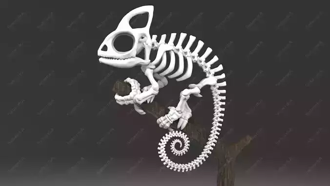 Cameleon Skeleton STL for