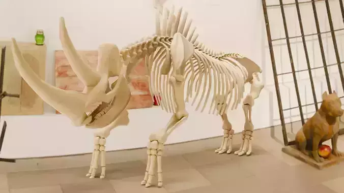 Relistic Mammals Fossil - Woolly Rhino Low-poly 3D model