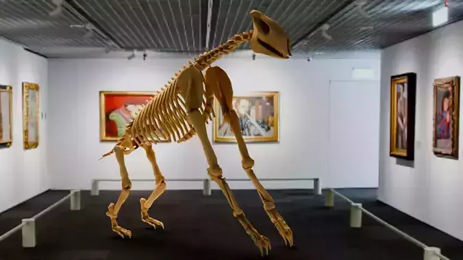 Realistic Mammals Fossil - Chalicotherium Low-poly 3D model