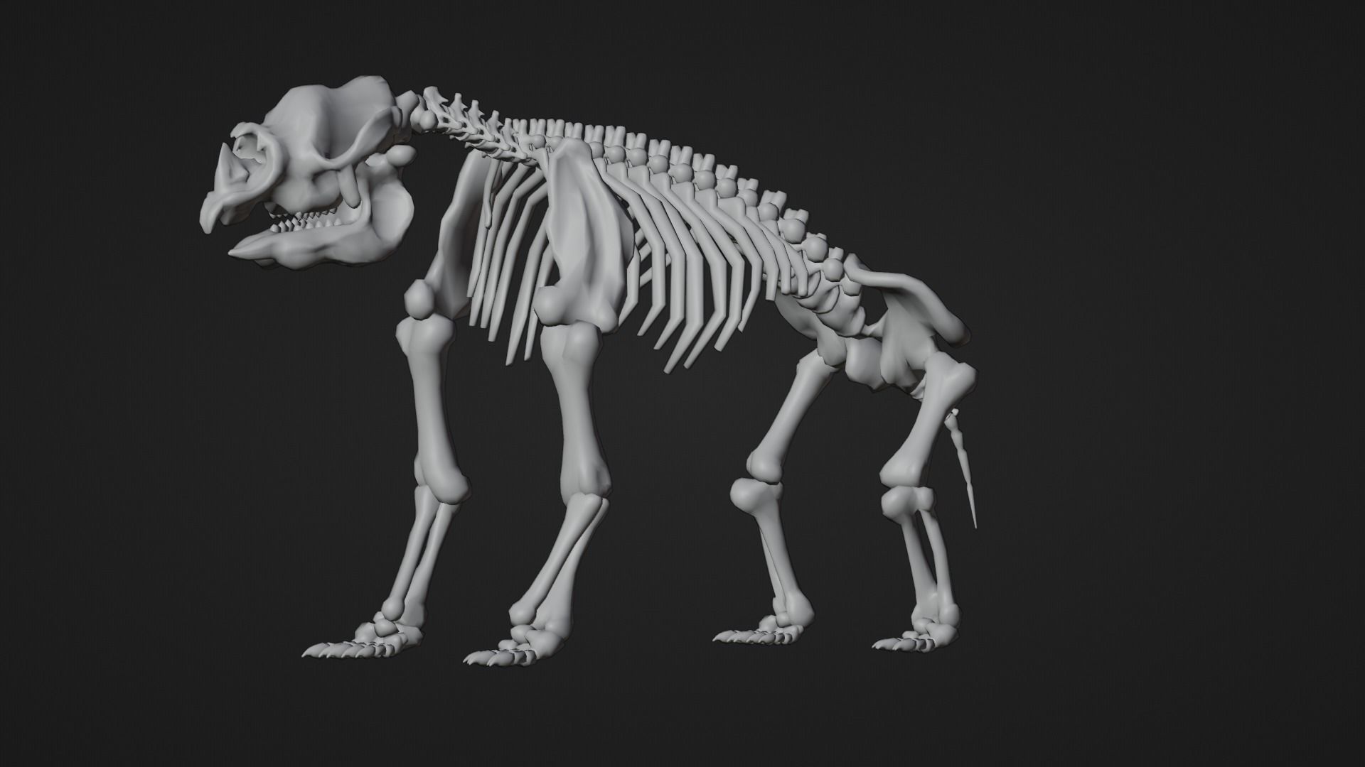 Relistic Mammals Fossil - Diprotodon Low-poly 3D model_11